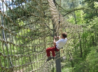  Akrobatikparcours in den Bäumen für Erwachsene im Gard 